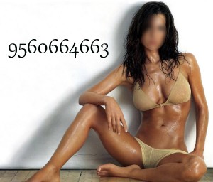 Delhi Escorts - Priya Indian Delhi Escort