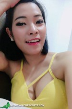 Bangkok Escorts - View Thai Bangkok Escort
