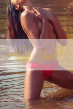 Frankfurt Escorts - Vip Model Amanii German/American Frankfurt Escort