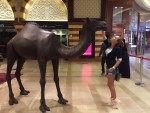 Dubai Escorts - Sweety Adelina Italy Dubai Escort