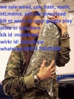 Doha Escorts - Marimaria111 Girls Escort in Doha - ID-22808