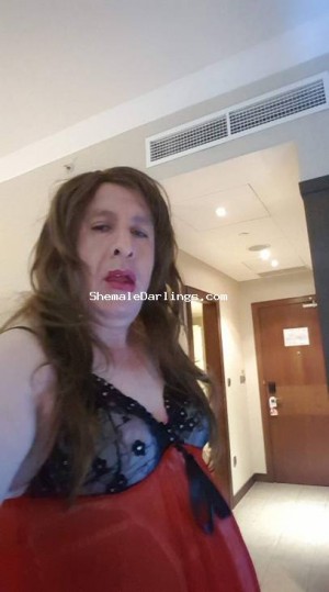 Abu Dhabi Shemale Escorts - Ladyboy Abudhabi Sarrra franc Abu Dhabi Escort