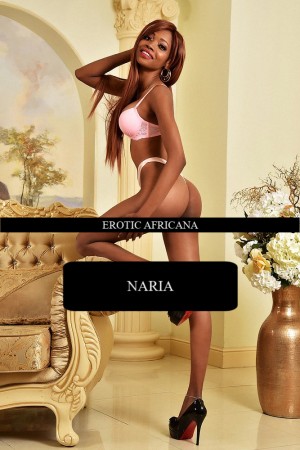 Vienna Escorts - Naria Portuguese Vienna Escort