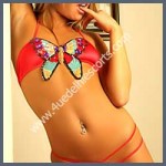 Delhi Escorts - Delhi female escorts Indian Delhi Escort