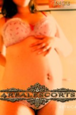 Brussels Escorts - Inge  Brussels Escort